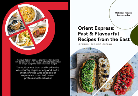 The Taste of the Orient Express: Cookery Book E-Book